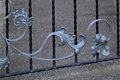 Metal gates and railings